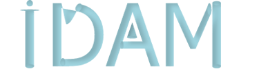 IDAM Consultancy Services logo