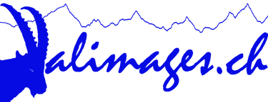 valimages.ch logo