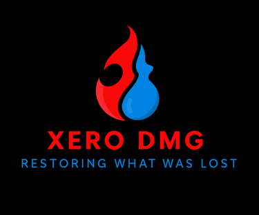 Xero DMG (Damage Mitigation Group) logo