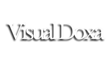 Visual Doxa logo