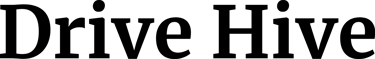 DriveHive.website logo