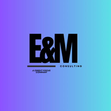 E&M CONSULTING logo