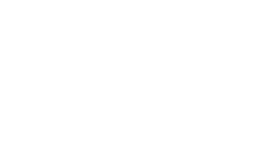 IMZIMPORT logo