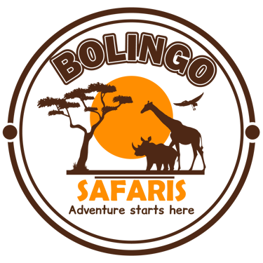 Bolingo Safaris logo