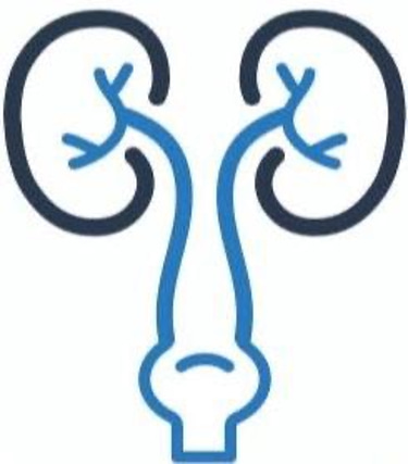 Urología Culiacán logo