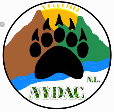 Naturaleza y Desarrollo en el sur de Nuevo León logo