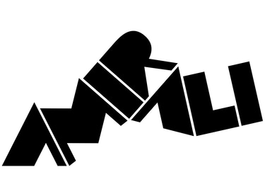Amirali Mohebbinejad logo