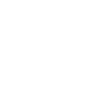 Vessla project logo