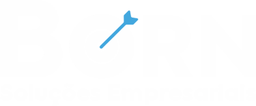 Born Soluções Empresariais logo
