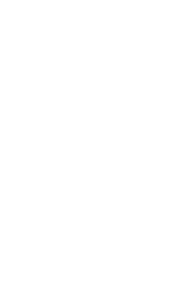 Levels Studio logo