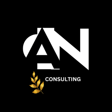 AN Consulting logo