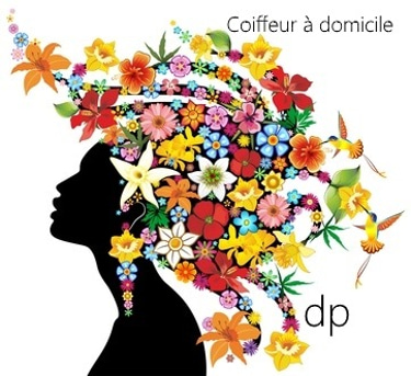 Dominique P coiffeur à domicile Bruxelles & régions logo