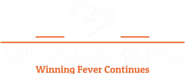 BANSALEXCHANGE logo