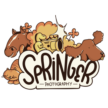 Springer Studio Photography logo