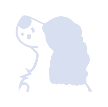 Springer Studio Photography logo