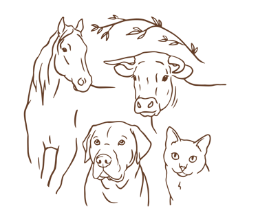 Philomène Lesieur - Ostéopathe animalière logo