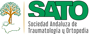 CONGRESO SATO 2024 logo