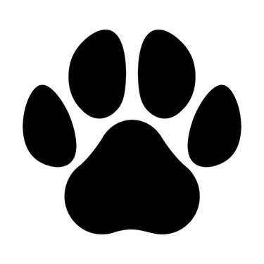 ONG Sociedade dos Animais logo