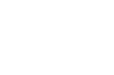 TFares logo