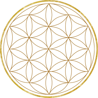 Praxis-Barahona logo