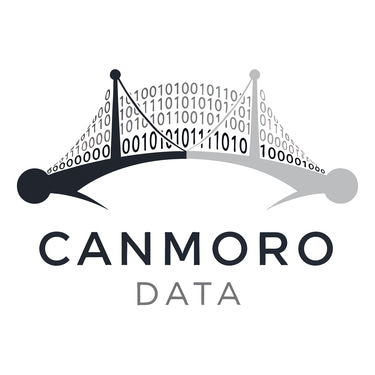 Drofast International Inc. logo