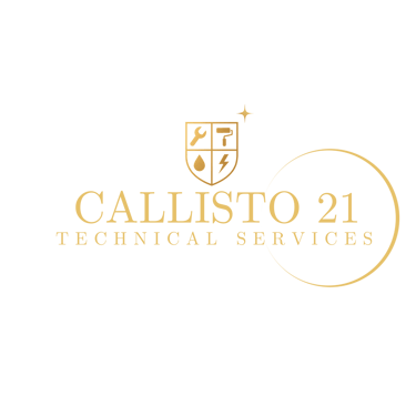 Callisto 21 services logo