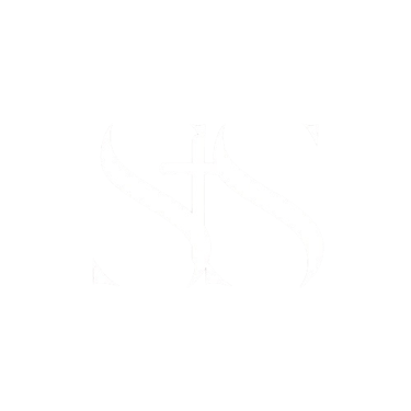 Soares Santos Group logo