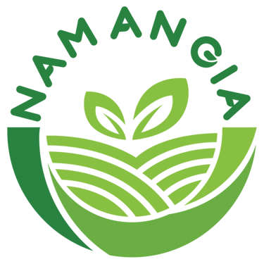 NAM AN GIA logo