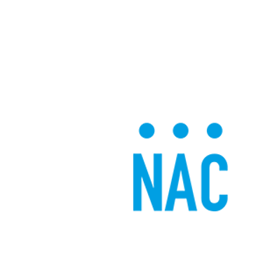Net Audio Control logo