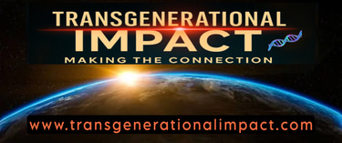 TRANSGENERATIONAL EXPERT logo
