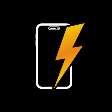 Flash Repair logo