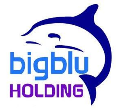 BIGBLU HOLDING logo