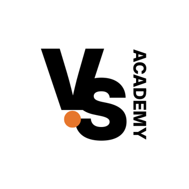 Visual Story Academy logo