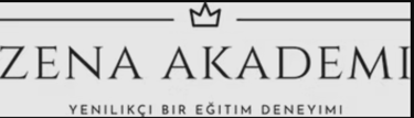 Zena akademi logo
