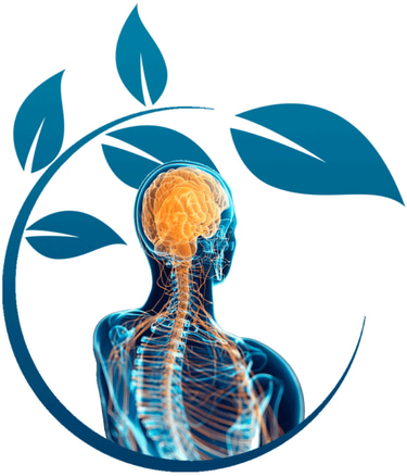 Quiropráctica Life logo