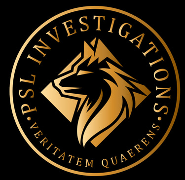 Pic Saint Loup Investigations logo