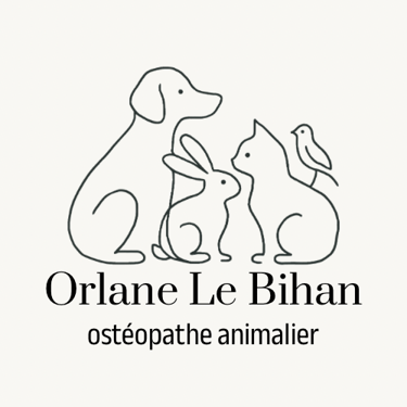 Orlane Le Bihan - Ostéopathe animalier logo