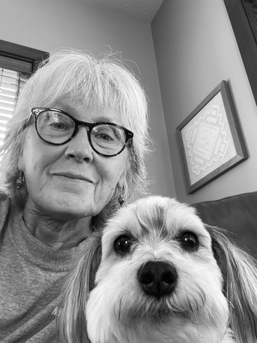 Debra Lynn Prazak logo