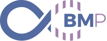 Bruno Mendes logo