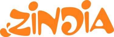 ZINDIA logo