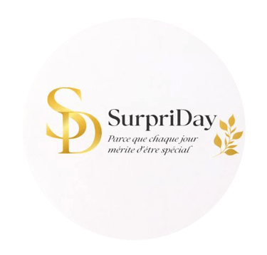 Projet d’activités événementielles logo