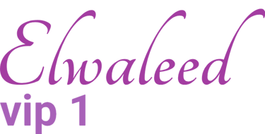 elwaleed1 logo