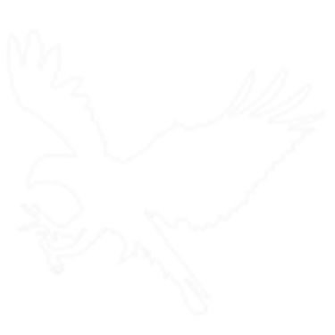 Highlands Ranch Realty logo