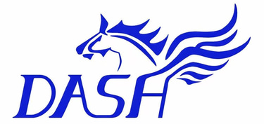 Dash Run Group logo