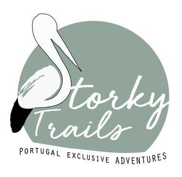 Storky Trails logo
