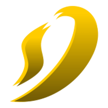 Diego Web Solutions logo