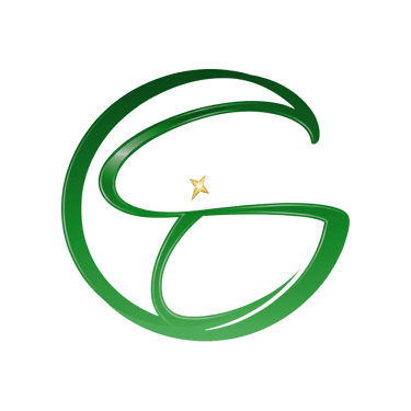 STG Global logo