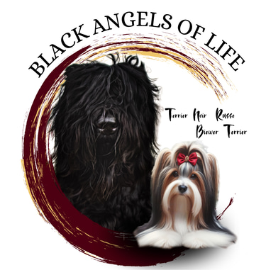BLACK ANGELS OF LIFE TERRIER NOIR RUSSE logo