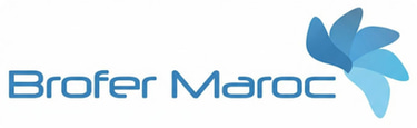 Brofer Maroc - Translate logo
