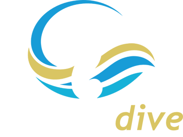 Specialdive Tauchschule logo